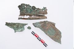 Foto von Bronzebreitrandschüssel (NHMW-PRAE-002321)